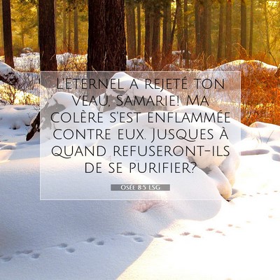 Picture 07 - Osée 8:5 LSG - L'Eternel a rejeté ton veau, Samarie! Ma colère - Bible Verse Picture