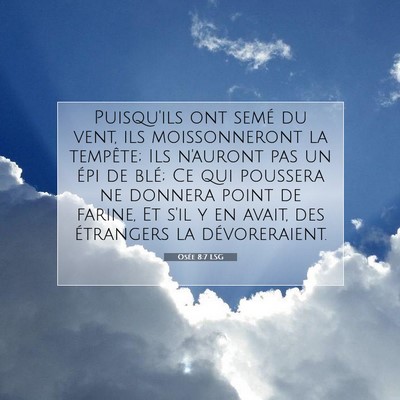 Picture 07 - Osée 8:7 LSG - Puisqu'ils ont semé du vent, ils moissonneront - Bible Verse Picture