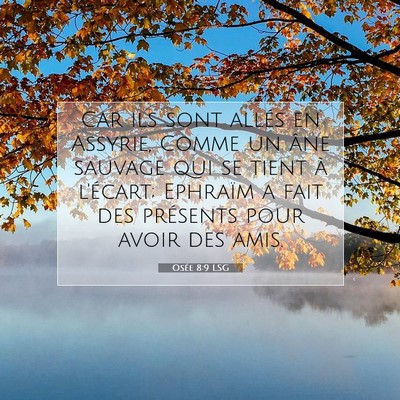 Picture 07 - Osée 8:9 LSG - Car ils sont allés en Assyrie, Comme un âne - Bible Verse Picture