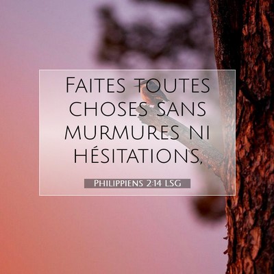Picture 07 - Philippiens 2:14 LSG - Faites toutes choses sans murmures ni - Bible Verse Picture