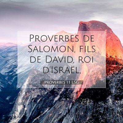 Picture 07 - Proverbes 1:1 LSG - Proverbes de Salomon, fils de David, roi - Bible Verse Picture
