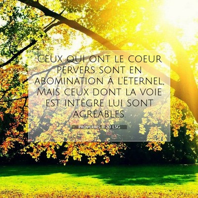 Picture 07 - Proverbes 11:20 LSG - Ceux qui ont le coeur pervers sont en abomination - Bible Verse Picture