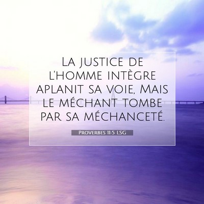 Picture 07 - Proverbes 11:5 LSG - La justice de l'homme intègre aplanit sa voie, - Bible Verse Picture