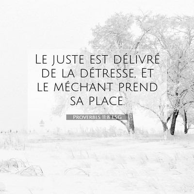 Picture 07 - Proverbes 11:8 LSG - Le juste est délivré de la détresse, Et le - Bible Verse Picture