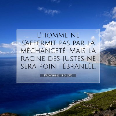 Picture 07 - Proverbes 12:3 LSG - L'homme ne s'affermit pas par la méchanceté, - Bible Verse Picture