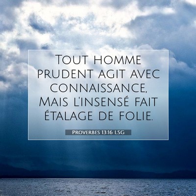 Picture 07 - Proverbes 13:16 LSG - Tout homme prudent agit avec connaissance, Mais - Bible Verse Picture