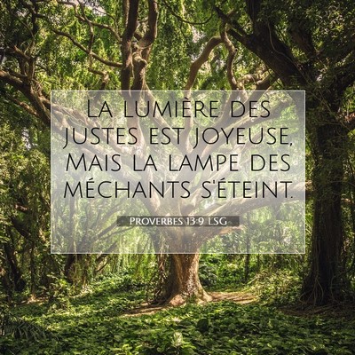 Picture 07 - Proverbes 13:9 LSG - La lumière des justes est joyeuse, Mais la lampe - Bible Verse Picture