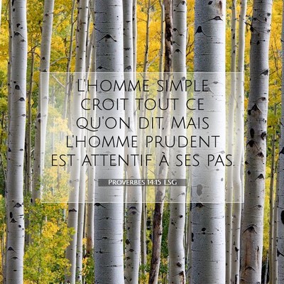 Picture 07 - Proverbes 14:15 LSG - L'homme simple croit tout ce qu'on dit, Mais - Bible Verse Picture