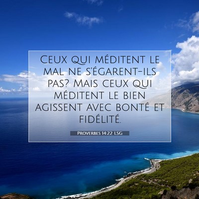 Picture 07 - Proverbes 14:22 LSG - Ceux qui méditent le mal ne s'égarent-ils pas? - Bible Verse Picture