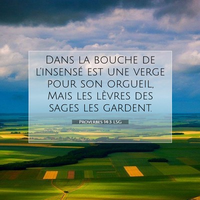 Picture 07 - Proverbes 14:3 LSG - Dans la bouche de l'insensé est une verge pour - Bible Verse Picture