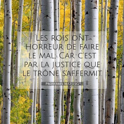Picture 07 - Proverbes 16:12 LSG - Les rois ont horreur de faire le mal, Car c'est - Bible Verse Picture