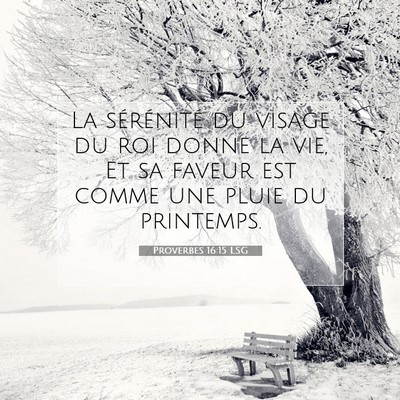 Picture 07 - Proverbes 16:15 LSG - La sérénité du visage du roi donne la vie, Et - Bible Verse Picture