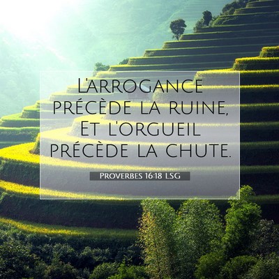Picture 07 - Proverbes 16:18 LSG - L'arrogance précède la ruine, Et l'orgueil - Bible Verse Picture