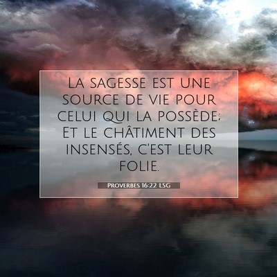 Picture 07 - Proverbes 16:22 LSG - La sagesse est une source de vie pour celui qui - Bible Verse Picture