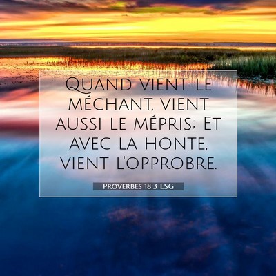 Picture 07 - Proverbes 18:3 LSG - Quand vient le méchant, vient aussi le mépris; - Bible Verse Picture