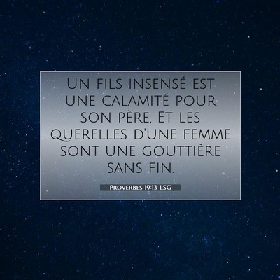 Picture 07 - Proverbes 19:13 LSG - Un fils insensé est une calamité pour son - Bible Verse Picture