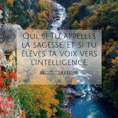 Picture 07 - Proverbes 2:3 LSG - Oui, si tu appelles la sagesse, Et si tu élèves - Bible Verse Picture