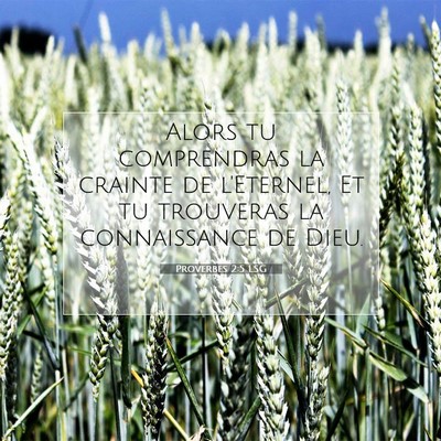 Picture 07 - Proverbes 2:5 LSG - Alors tu comprendras la crainte de l'Eternel, Et - Bible Verse Picture