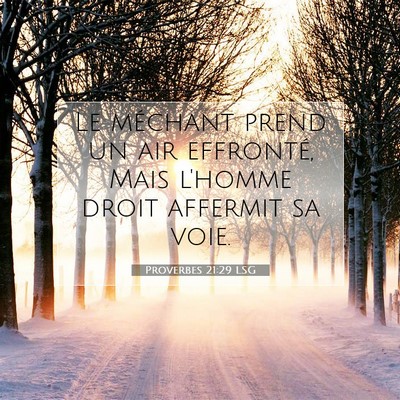 Picture 07 - Proverbes 21:29 LSG - Le méchant prend un air effronté, Mais l'homme - Bible Verse Picture