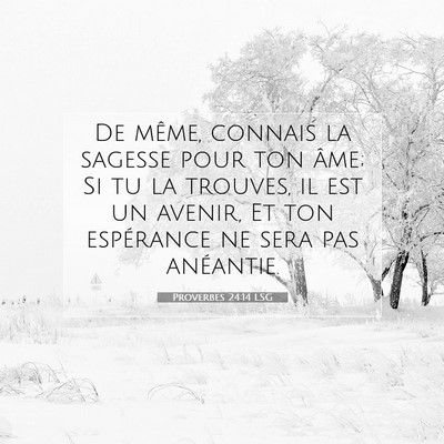 Picture 07 - Proverbes 24:14 LSG - De même, connais la sagesse pour ton âme; Si tu - Bible Verse Picture