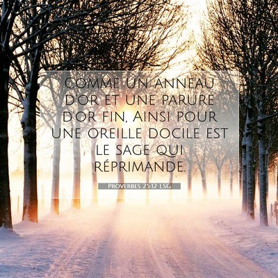 Picture 07 - Proverbes 25:12 LSG - Comme un anneau d'or et une parure d'or fin, - Bible Verse Picture