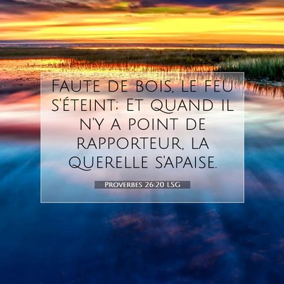 Picture 07 - Proverbes 26:20 LSG - Faute de bois, le feu s'éteint; Et quand il n'y - Bible Verse Picture