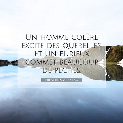 Picture 07 - Proverbes 29:22 LSG - Un homme colère excite des querelles, Et un - Bible Verse Picture