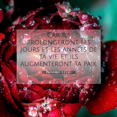 Picture 07 - Proverbes 3:2 LSG - Car ils prolongeront les jours et les années de - Bible Verse Picture