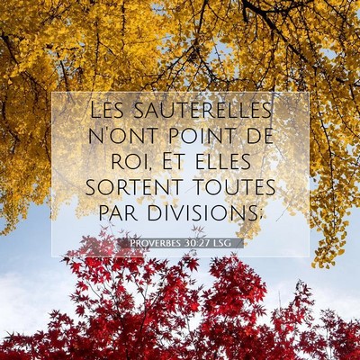 Picture 07 - Proverbes 30:27 LSG - Les sauterelles n'ont point de roi, Et elles - Bible Verse Picture