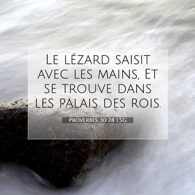 Picture 07 - Proverbes 30:28 LSG - Le lézard saisit avec les mains, Et se trouve - Bible Verse Picture