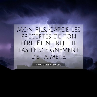 Picture 07 - Proverbes 6:20 LSG - Mon fils, garde les préceptes de ton père, Et - Bible Verse Picture
