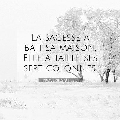 Picture 07 - Proverbes 9:1 LSG - La sagesse a bâti sa maison, Elle a taillé ses - Bible Verse Picture