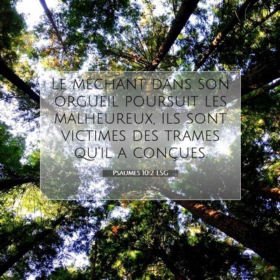 Picture 07 - Psaumes 10:2 LSG - Le méchant dans son orgueil poursuit les - Bible Verse Picture