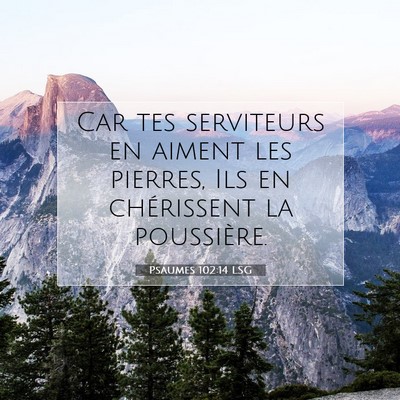 Picture 07 - Psaumes 102:14 LSG - Car tes serviteurs en aiment les pierres, Ils en - Bible Verse Picture