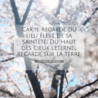 Picture 07 - Psaumes 102:19 LSG - Car il regarde du lieu élevé de sa sainteté; - Bible Verse Picture
