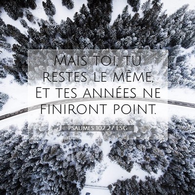 Picture 07 - Psaumes 102:27 LSG - Mais toi, tu restes le même, Et tes années ne - Bible Verse Picture