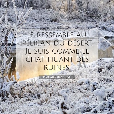 Picture 07 - Psaumes 102:6 LSG - Je ressemble au pélican du désert, Je suis - Bible Verse Picture