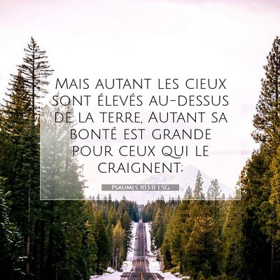 Picture 07 - Psaumes 103:11 LSG - Mais autant les cieux sont élevés au-dessus de - Bible Verse Picture