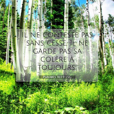 Picture 07 - Psaumes 103:9 LSG - Il ne conteste pas sans cesse, Il ne garde pas sa - Bible Verse Picture