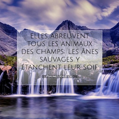 Picture 07 - Psaumes 104:11 LSG - Elles abreuvent tous les animaux des champs; Les - Bible Verse Picture