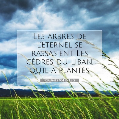 Picture 07 - Psaumes 104:16 LSG - Les arbres de l'Eternel se rassasient, Les - Bible Verse Picture