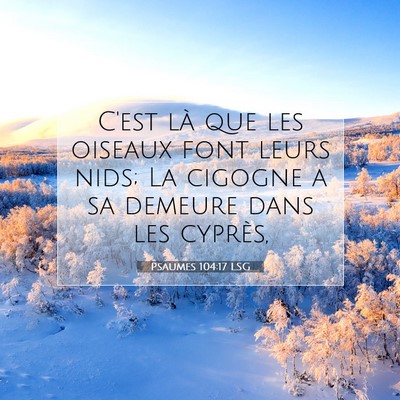 Picture 07 - Psaumes 104:17 LSG - C'est là que les oiseaux font leurs nids; La - Bible Verse Picture