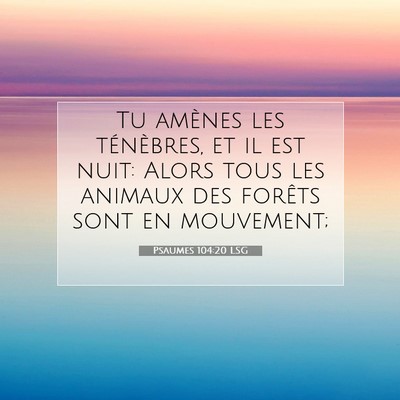 Picture 07 - Psaumes 104:20 LSG - Tu amènes les ténèbres, et il est nuit: Alors - Bible Verse Picture