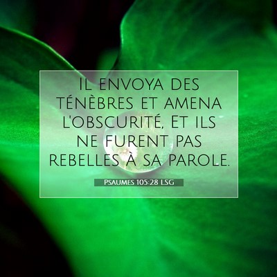Picture 07 - Psaumes 105:28 LSG - Il envoya des ténèbres et amena l'obscurité, - Bible Verse Picture