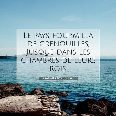 Picture 07 - Psaumes 105:30 LSG - Le pays fourmilla de grenouilles, Jusque dans les - Bible Verse Picture