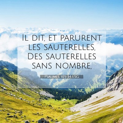 Picture 07 - Psaumes 105:34 LSG - Il dit, et parurent les sauterelles, Des - Bible Verse Picture