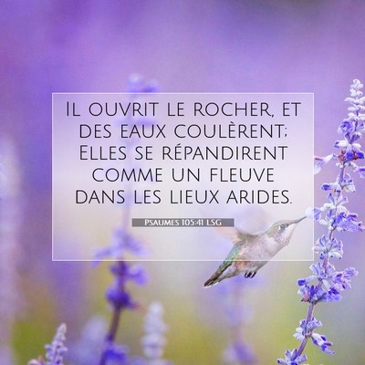 Picture 07 - Psaumes 105:41 LSG - Il ouvrit le rocher, et des eaux coulèrent; - Bible Verse Picture