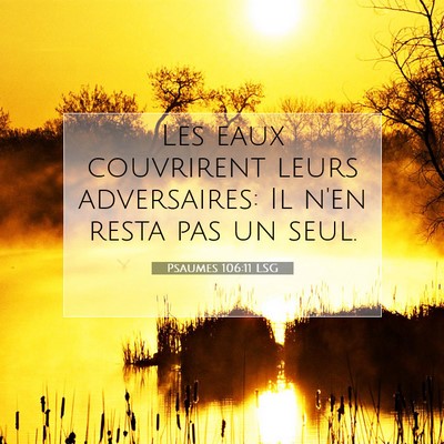 Picture 07 - Psaumes 106:11 LSG - Les eaux couvrirent leurs adversaires: Il n'en - Bible Verse Picture