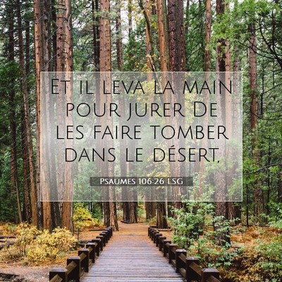 Picture 07 - Psaumes 106:26 LSG - Et il leva la main pour jurer De les faire tomber - Bible Verse Picture