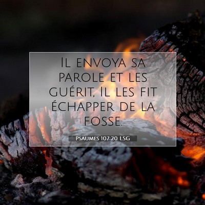 Picture 07 - Psaumes 107:20 LSG - Il envoya sa parole et les guérit, Il les fit - Bible Verse Picture